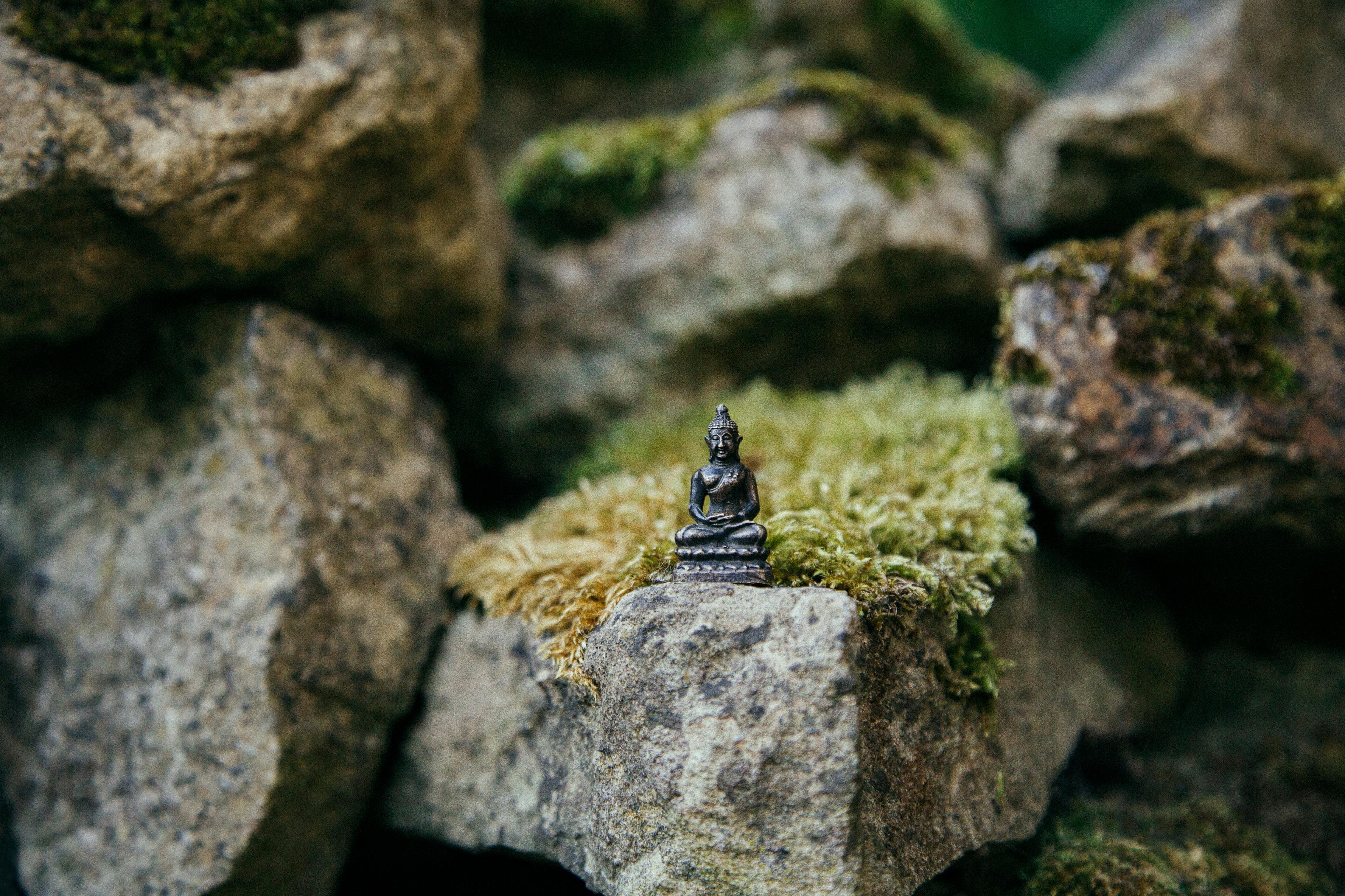 Estatua del Buddha en el bosque